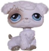#0204 Poodle Puppy